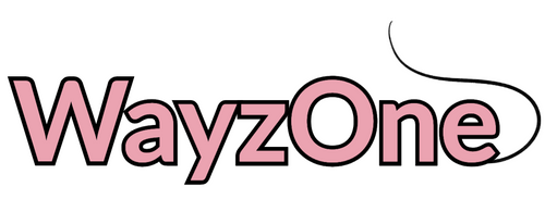 WayzOne